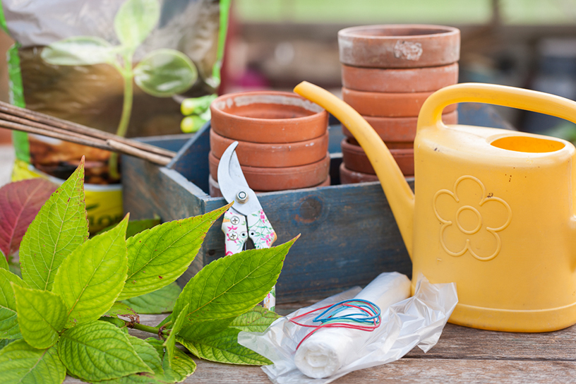 Gereedschap om te stekken